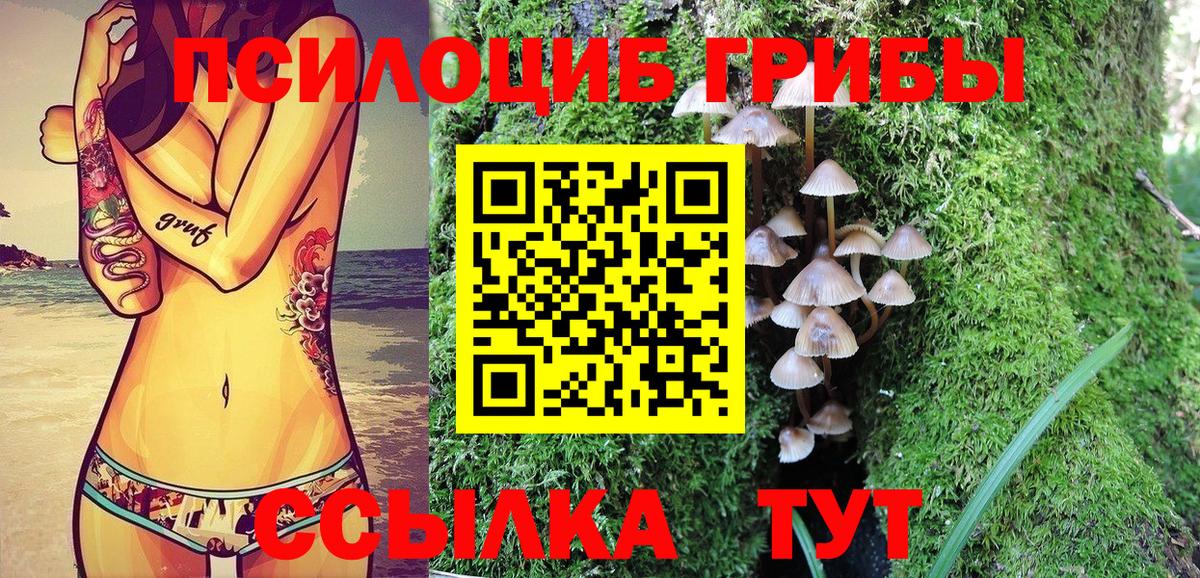 Галлюциногенные грибы Cubensis Ногинск