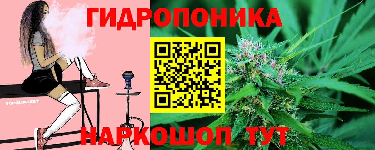 Каннабис индика Ногинск